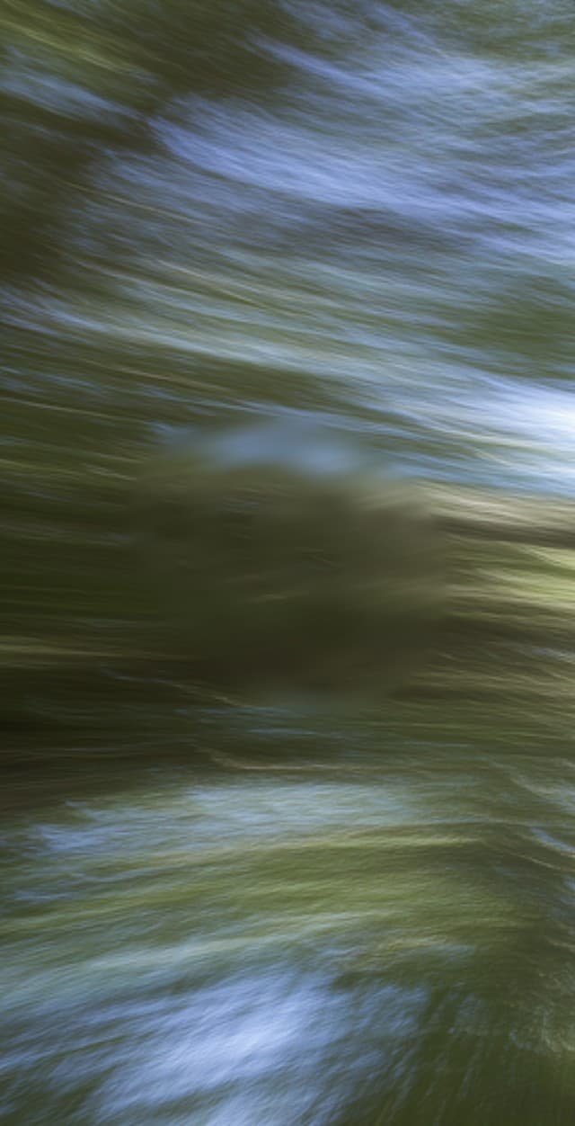 Foliage in motion, long-exposure photograph