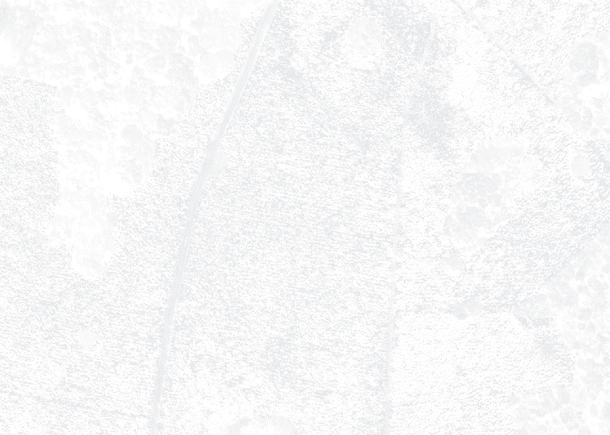 Real aerial photo of a farm lot, stippled