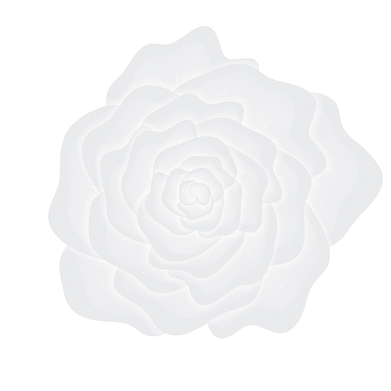 Stippled illustration of a rose seen from above