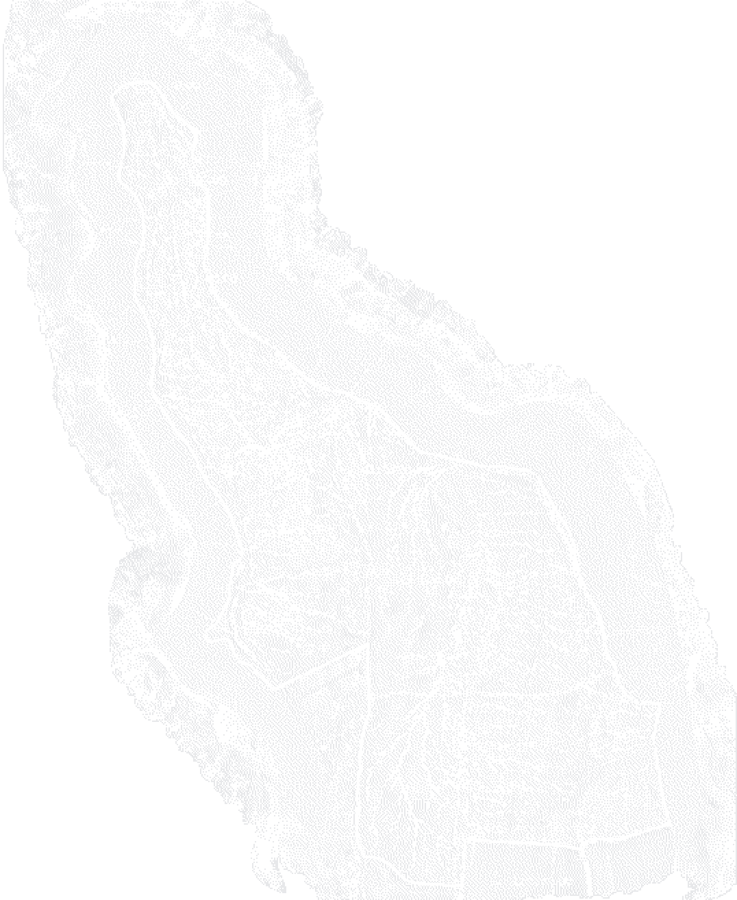 Sloped terrain with contour lines and a runoff network
